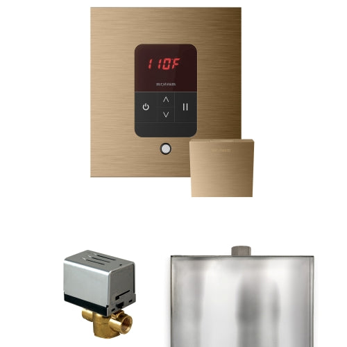 Mr. Steam Basic Butler Steam Shower Control Package with iTempo Control and Aroma Designer Finish SteamHead