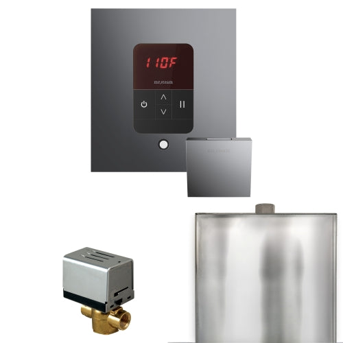 Mr. Steam Basic Butler Steam Shower Control Package with iTempo Control and Aroma Designer Finish SteamHead