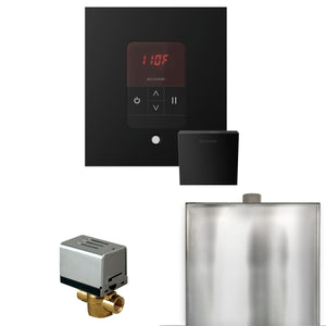 Mr. Steam Basic Butler Steam Shower Control Package with iTempo Control and Aroma Designer Finish SteamHead