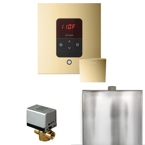 Mr. Steam Basic Butler Steam Shower Control Package with iTempo Control and Aroma Designer Finish SteamHead