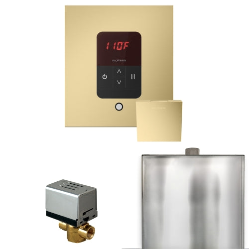 Mr. Steam Basic Butler Steam Shower Control Package with iTempo Control and Aroma Designer Finish SteamHead