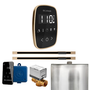 Mr. Steam ButlerFlex Max Steam Shower Control Package with TempoFlex Control and Two Linear SteamHeads