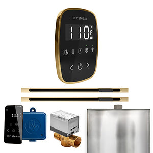 Mr. Steam ButlerFlex Max Steam Shower Control Package with TempoFlex Control and Two Linear SteamHeads