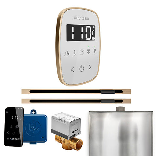 Mr. Steam ButlerFlex Max Steam Shower Control Package with TempoFlex Control and Two Linear SteamHeads