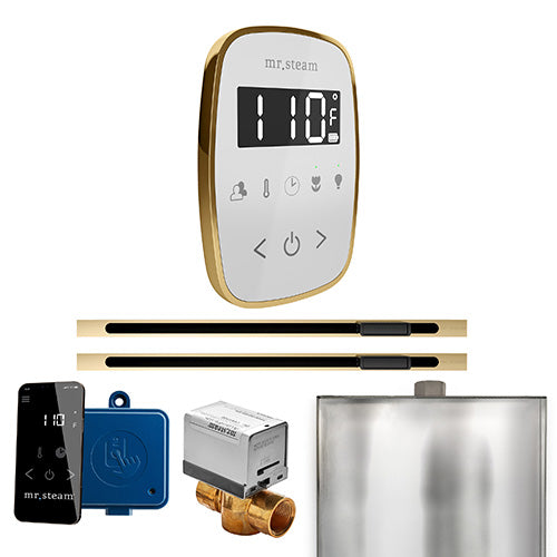 Mr. Steam ButlerFlex Max Steam Shower Control Package with TempoFlex Control and Two Linear SteamHeads