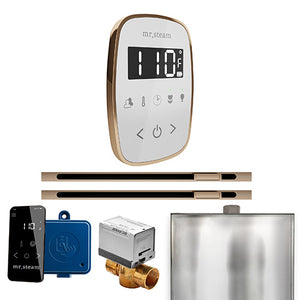Mr. Steam ButlerFlex Max Steam Shower Control Package with TempoFlex Control and Two Linear SteamHeads