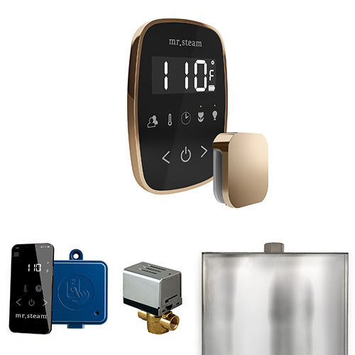 Mr. Steam ButlerFlex Steam Shower Control Package with TempoFlex Control and Aroma SteamHead