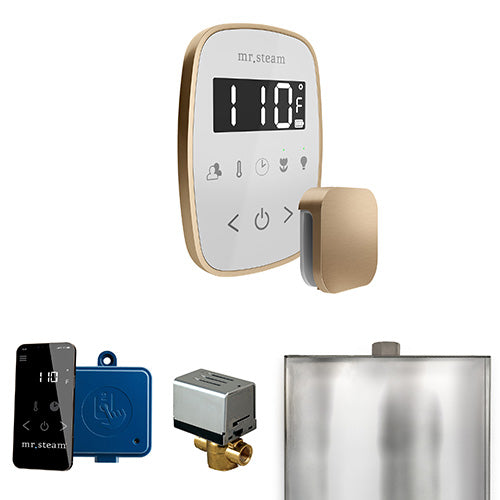 Mr. Steam ButlerFlex Steam Shower Control Package with TempoFlex Control and Aroma SteamHead