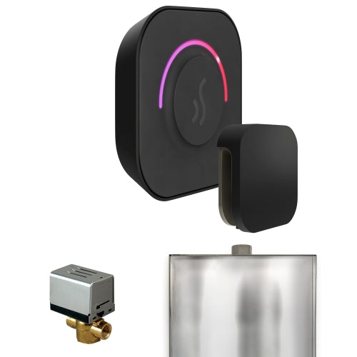 Mr. Steam ButlerTouch Steam Shower Control Package with TempoTouch Control and Aroma SteamHead
