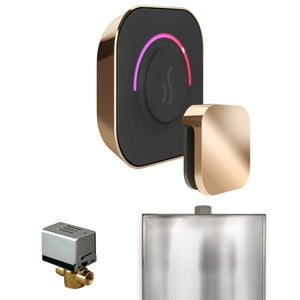 Mr. Steam ButlerTouch Steam Shower Control Package with TempoTouch Control and Aroma SteamHead