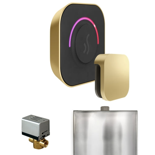 Mr. Steam ButlerTouch Steam Shower Control Package with TempoTouch Control and Aroma SteamHead