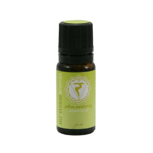 Mr. Steam Chakra Aroma Oil, 10 mL