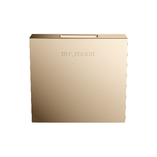 Mr. Steam Square Designer Finish Aroma SteamHead 104516