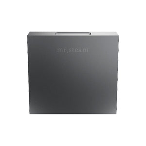 Mr. Steam Square Designer Finish Aroma SteamHead 104516