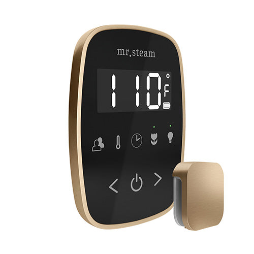 Mr. Steam TempoFlex Steam Shower Control with Aroma SteamHead