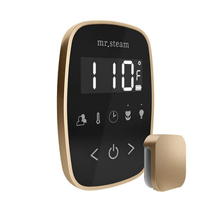 Mr. Steam TempoFlex Steam Shower Control with Aroma SteamHead