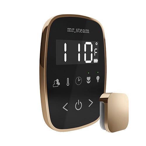 Mr. Steam TempoFlex Steam Shower Control with Aroma SteamHead
