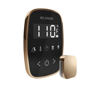 Mr. Steam TempoFlex Steam Shower Control with Aroma SteamHead
