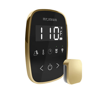 Mr. Steam TempoFlex Steam Shower Control with Aroma SteamHead