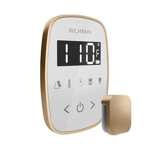 Mr. Steam TempoFlex Steam Shower Control with Aroma SteamHead