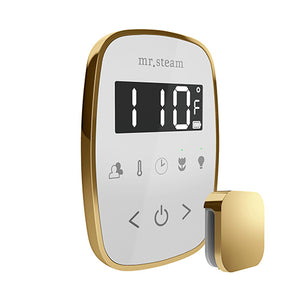 Mr. Steam TempoFlex Steam Shower Control with Aroma SteamHead