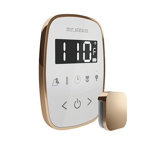 Mr. Steam TempoFlex Steam Shower Control with Aroma SteamHead