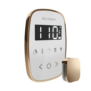Mr. Steam TempoFlex Steam Shower Control with Aroma SteamHead