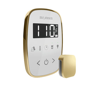 Mr. Steam TempoFlex Steam Shower Control with Aroma SteamHead