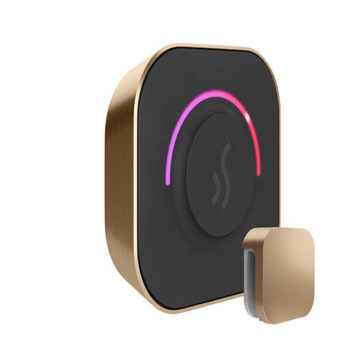 Mr. Steam TempoTouch Steam Shower Control with Aroma SteamHead