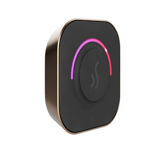 Mr. Steam TempoTouch Steam Shower Control with Aroma SteamHead