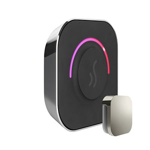 Mr. Steam TempoTouch Steam Shower Control with Aroma SteamHead