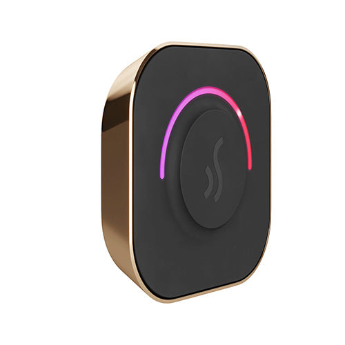 Mr. Steam TempoTouch Steam Shower Control with Aroma SteamHead