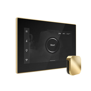 Mr. Steam iSteamX Steam Shower Control with Aroma SteamHead