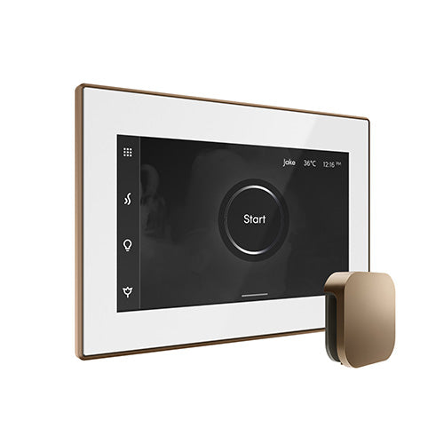 Mr. Steam iSteamX Steam Shower Control with Aroma SteamHead