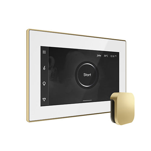 Mr. Steam iSteamX Steam Shower Control with Aroma SteamHead