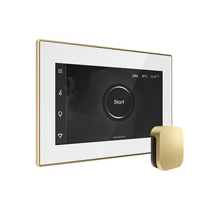 Mr. Steam iSteamX Steam Shower Control with Aroma SteamHead