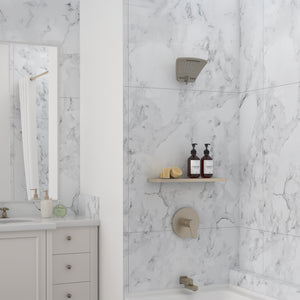 PULSE ShowerSpas Showerhead - PowerShot Showerhead 2056