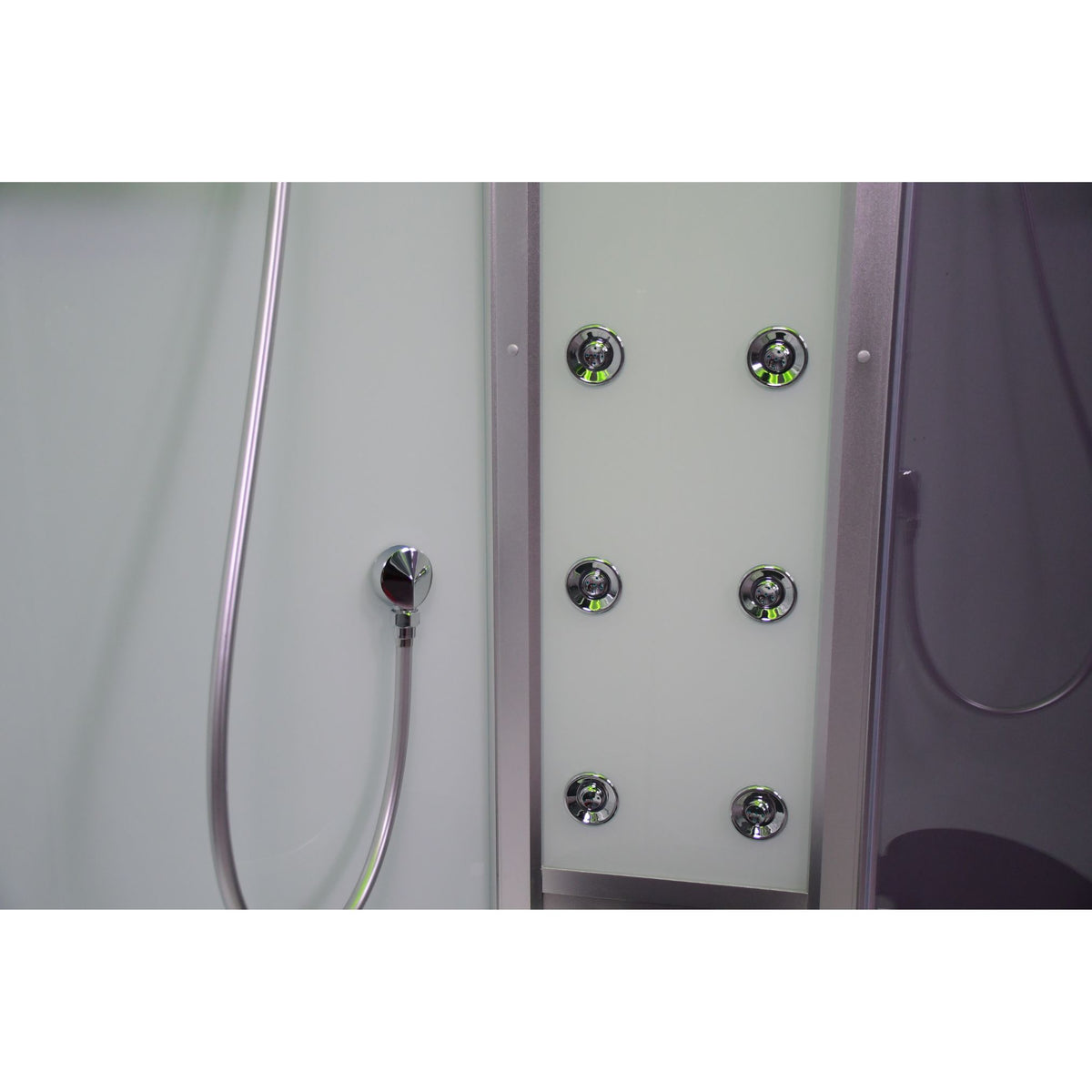 Platinum Steam Shower-Sliding Door DZ903A