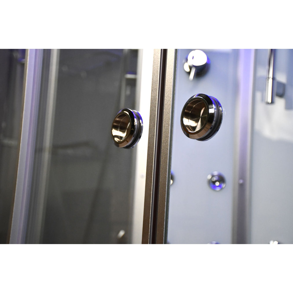 Platinum Steam Shower-Sliding Door DZ903A