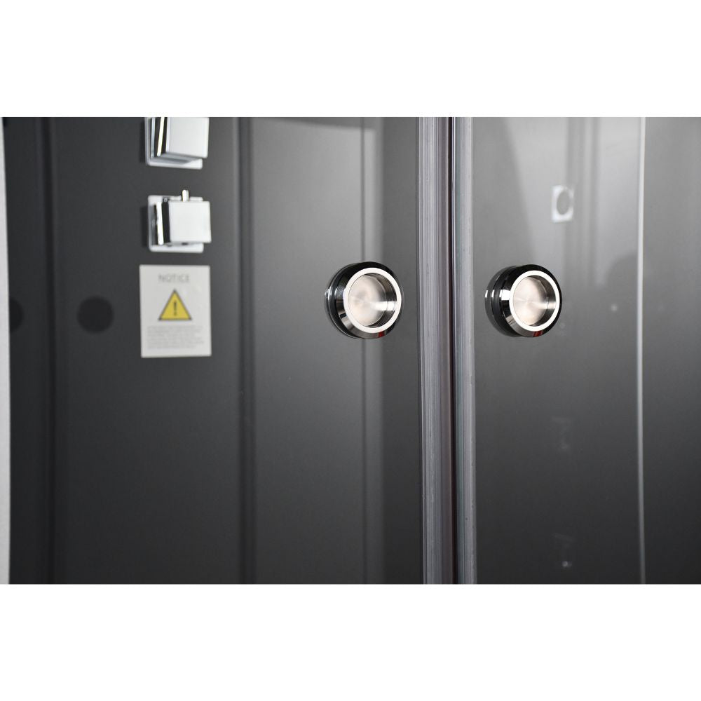 Platinum Steam Shower DZ972F8-3 Black