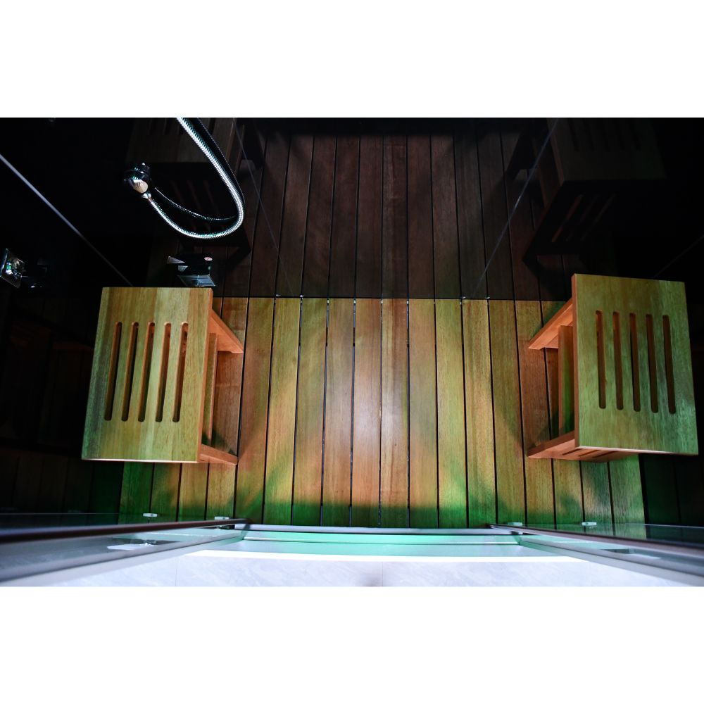 Platinum Steam Shower DZ972F8-3 Black