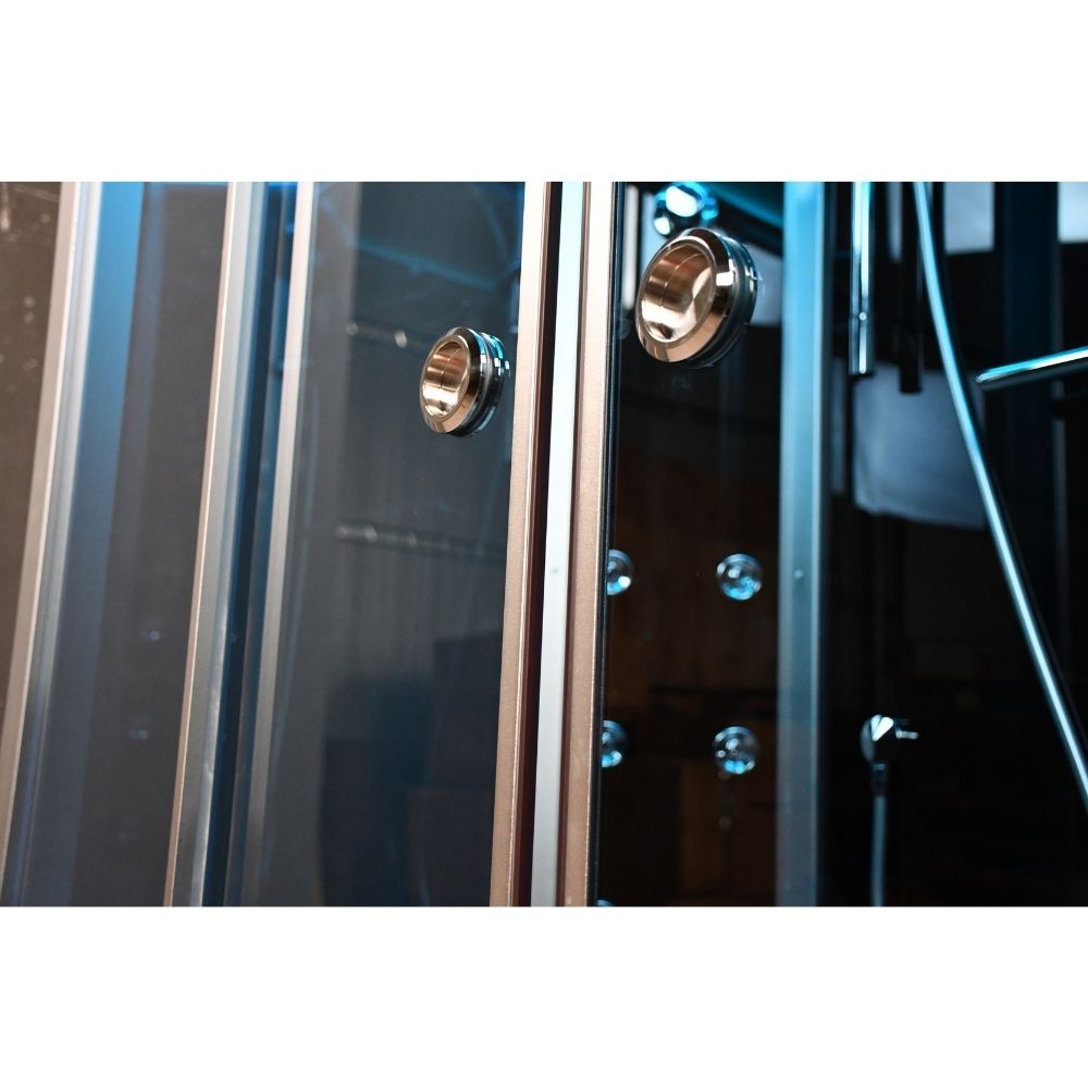 Platinum Steam Shower-Sliding Door DZ903L