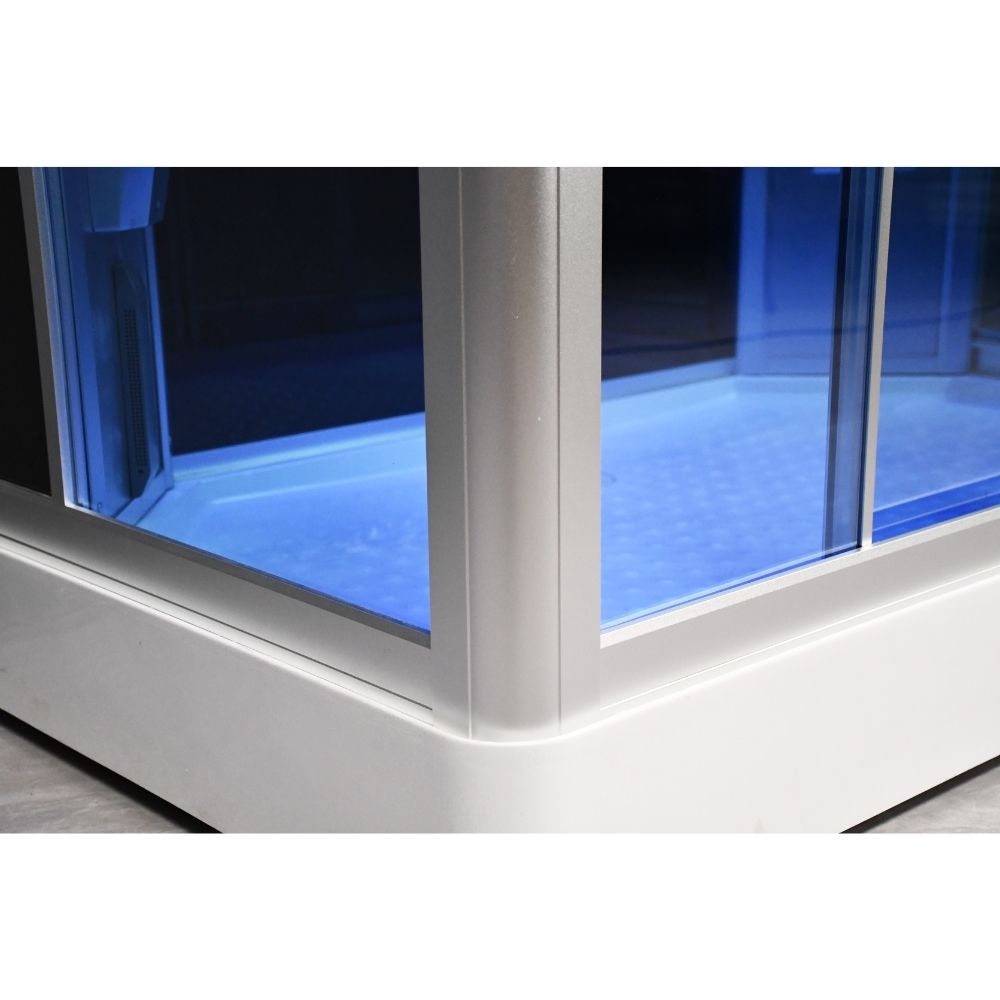 Platinum Steam Shower-Sliding Door DZ903L