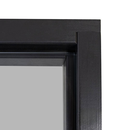 Prosaunas 24x81 Tinted Glass with Black Alder Frame Sauna Door