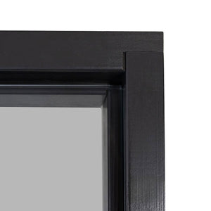 Prosaunas 24x81 Tinted Glass with Black Alder Frame Sauna Door