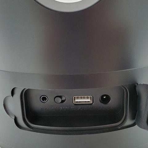 SaunaLife SaunaZone Sauna Bucket with Bluetooth Speaker and Lights 127924