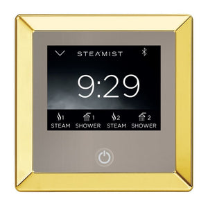 Steamist  Digital Steam Shower Spa Control Package 450