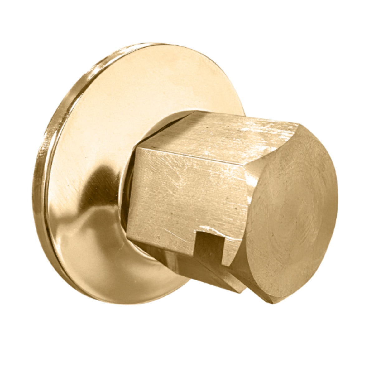 ThermaSol 3/4" NPT Traditional Style Steam Head TSS