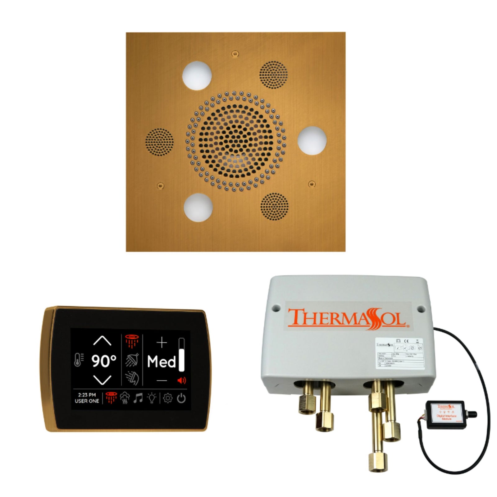 ThermaSol The Wellness Shower Package with SignaTouch Square WSPSS