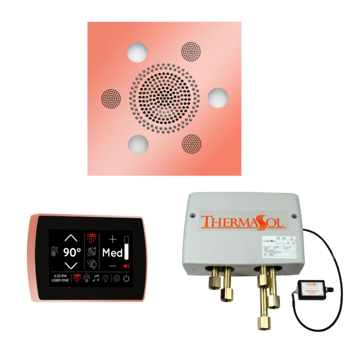 ThermaSol The Wellness Shower Package with SignaTouch Square WSPSS